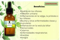 EXTRACTO DE GOBERNADORA